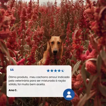 Comentario da Racao Umida N-D Quinoa Caes Digestion 140 g 8